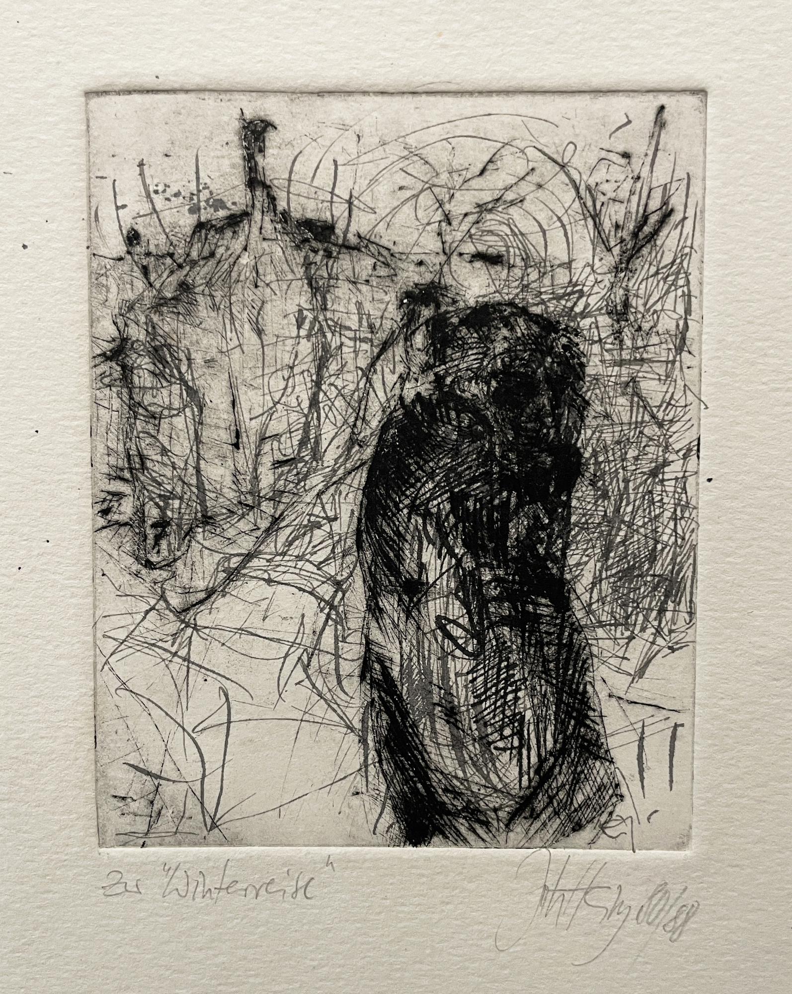 zur Winterreise