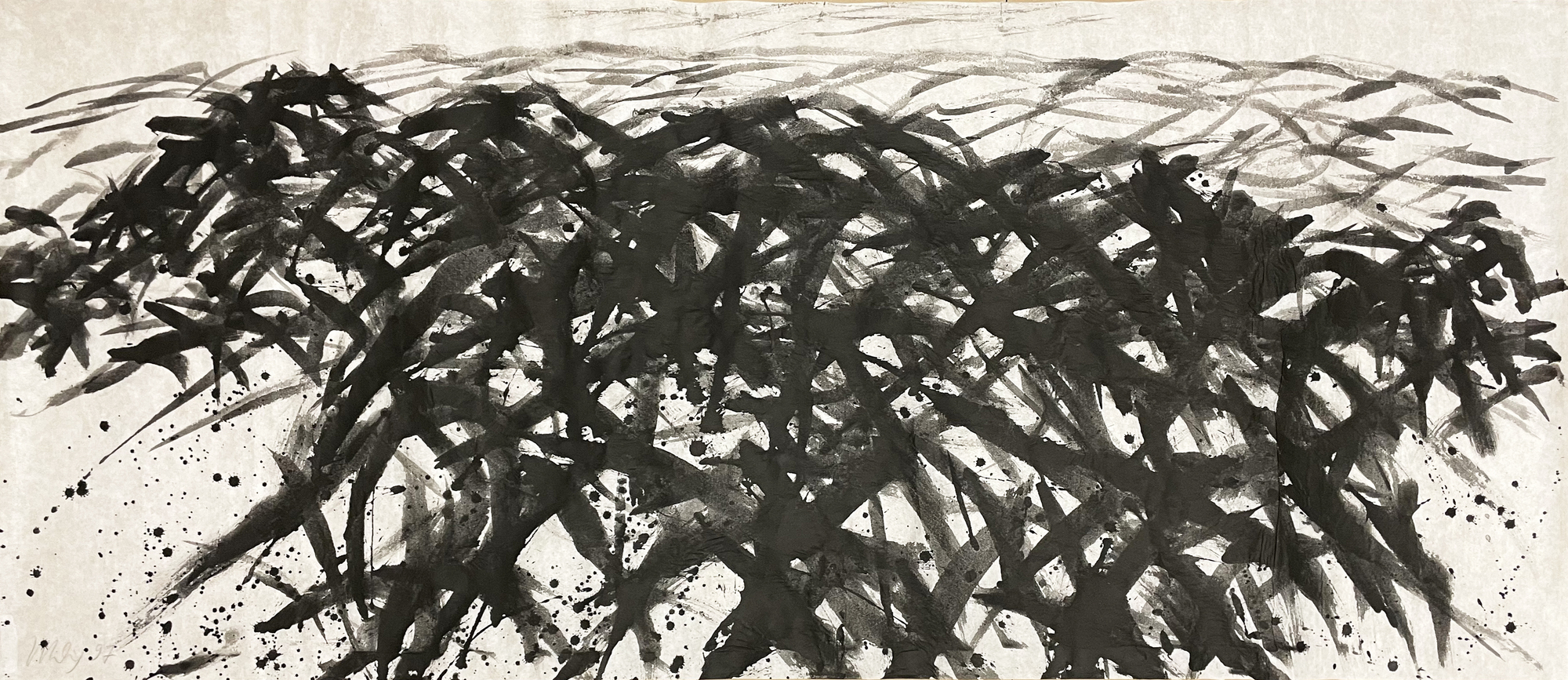 Detail de Bois