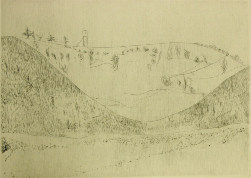 Deiner Senke Busch-Gras [WVZ R209]