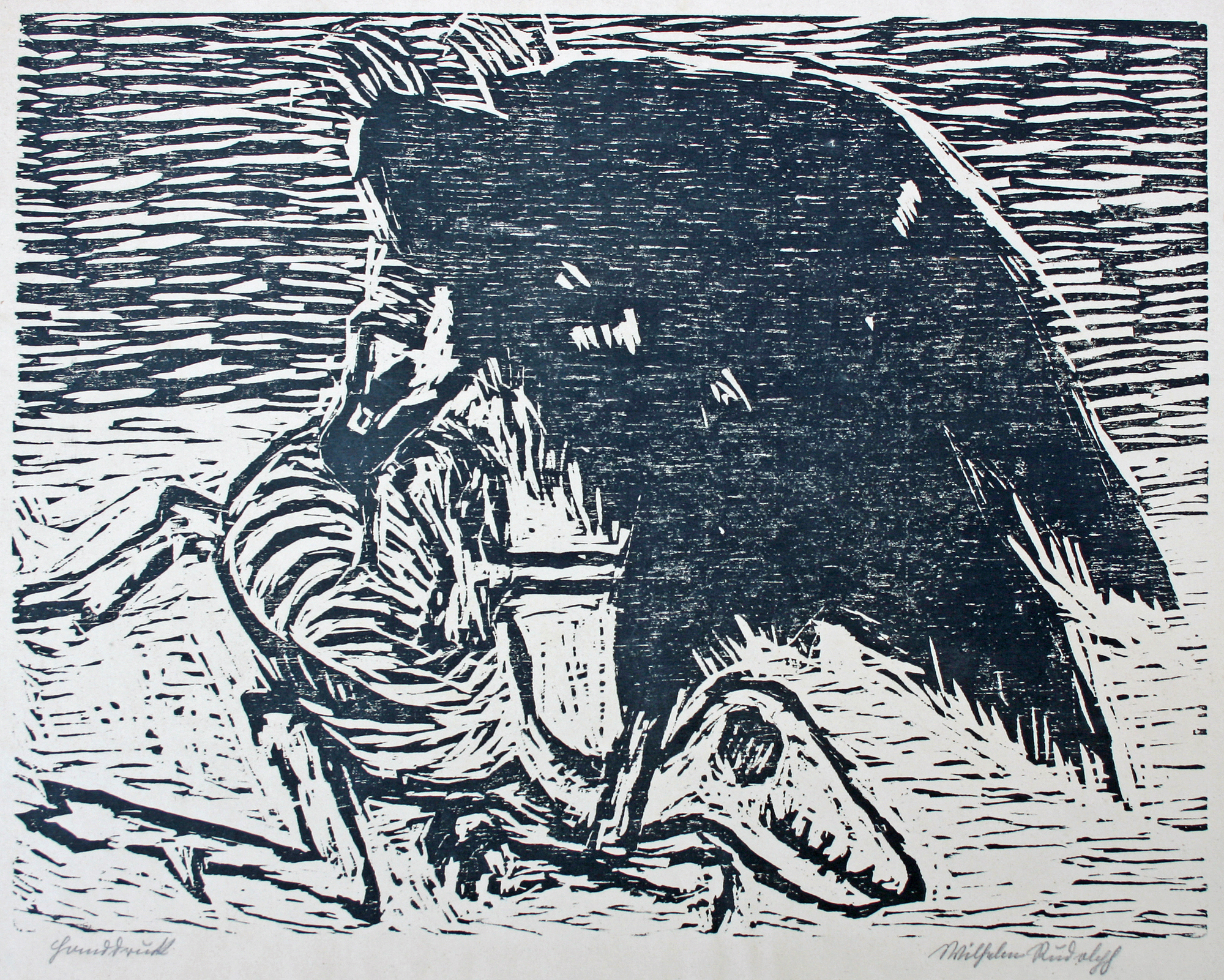 Aas fressender Geier