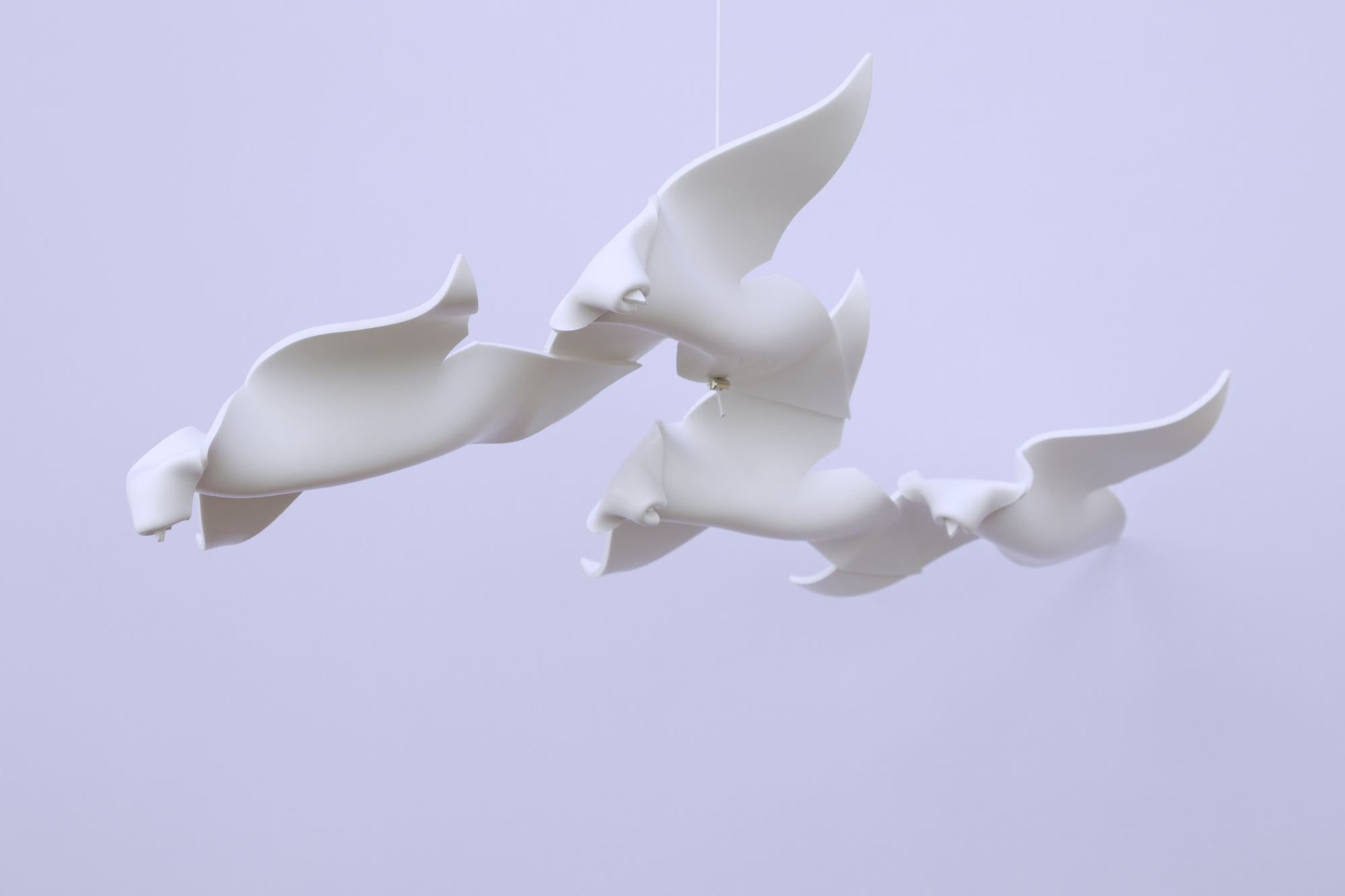 Sulle ali del vento (2)