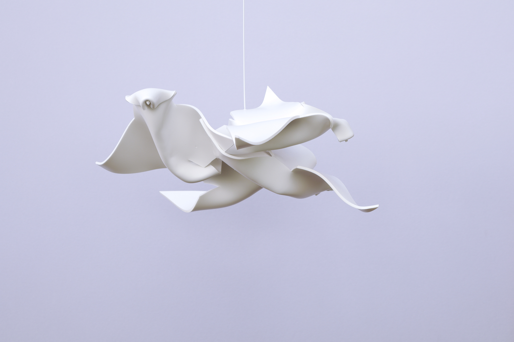 Sulle ali del vento (3)