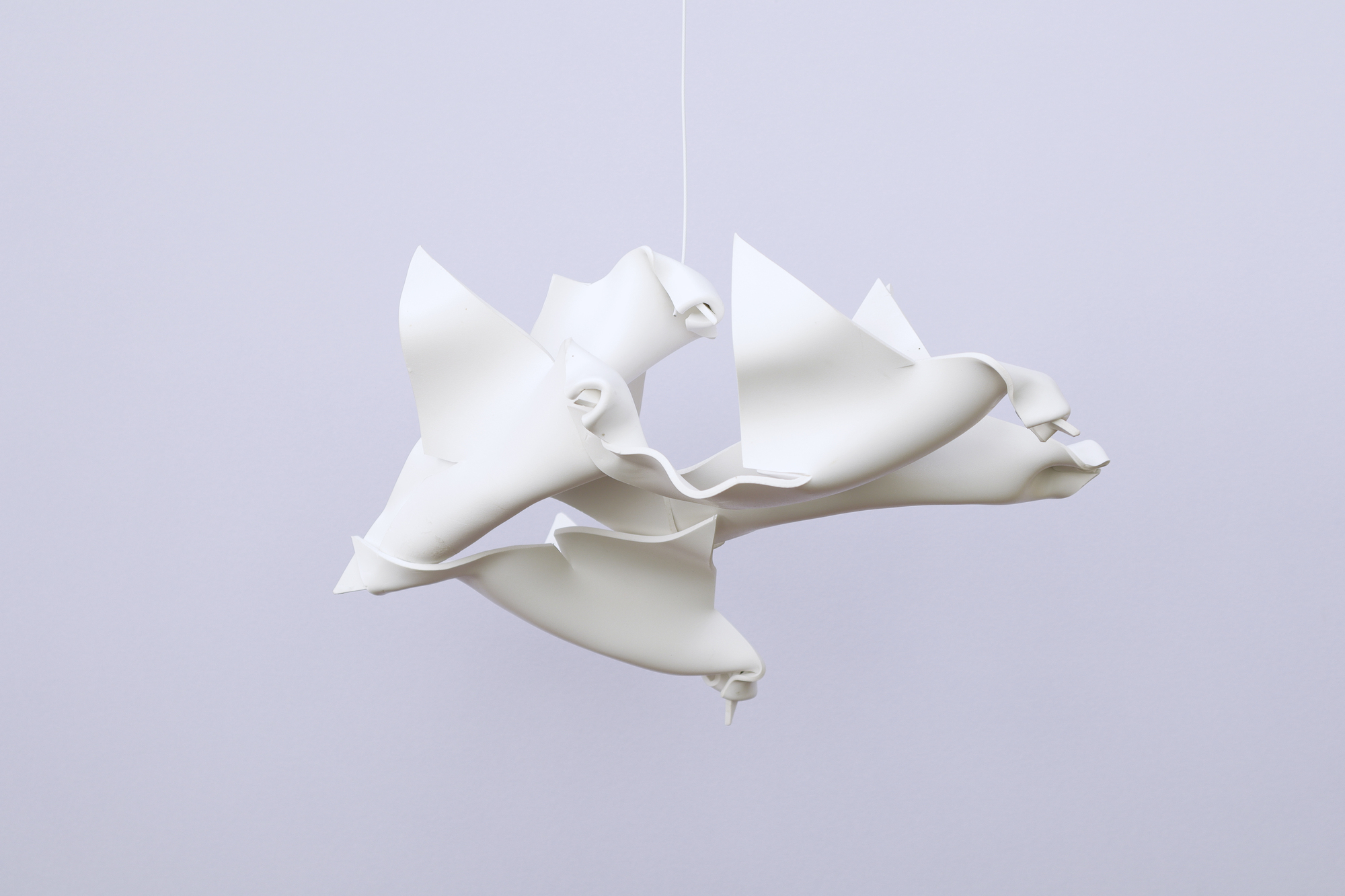 Sulle ali del vento (4)