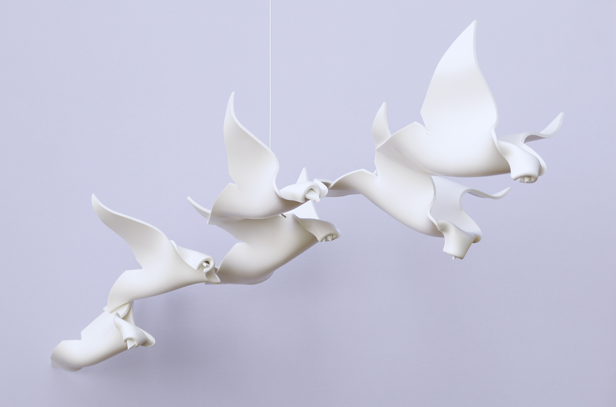 Sulle ali del vento (6)