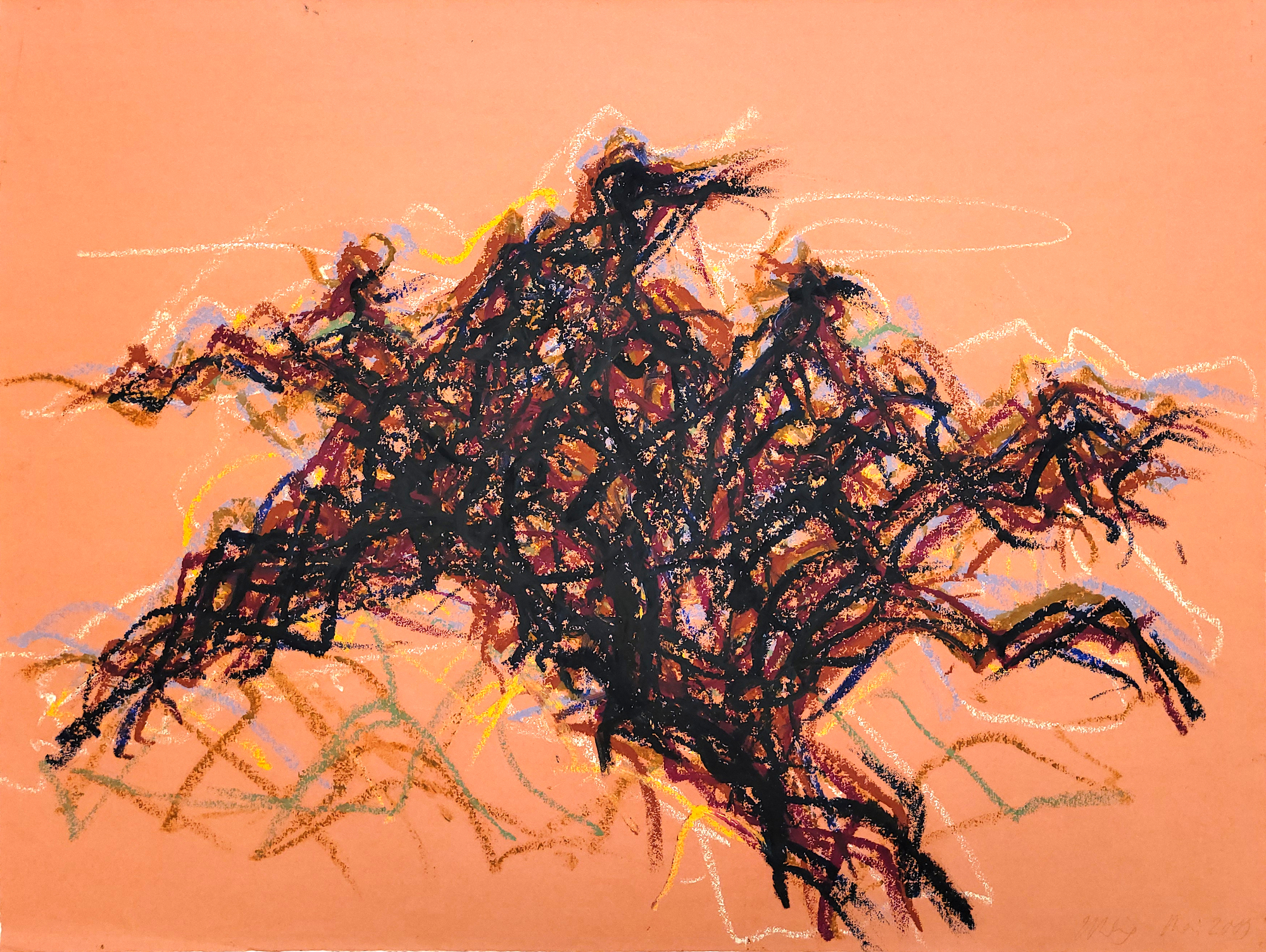 Ancien cep de vigne (détail)