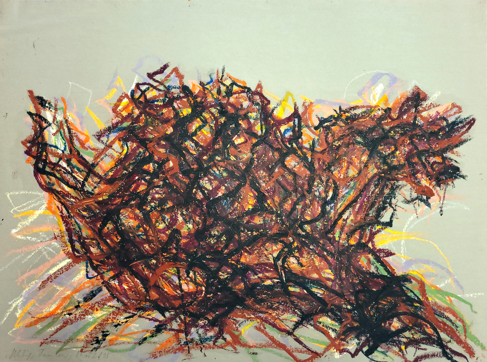 Ancien cep de vigne diagonal