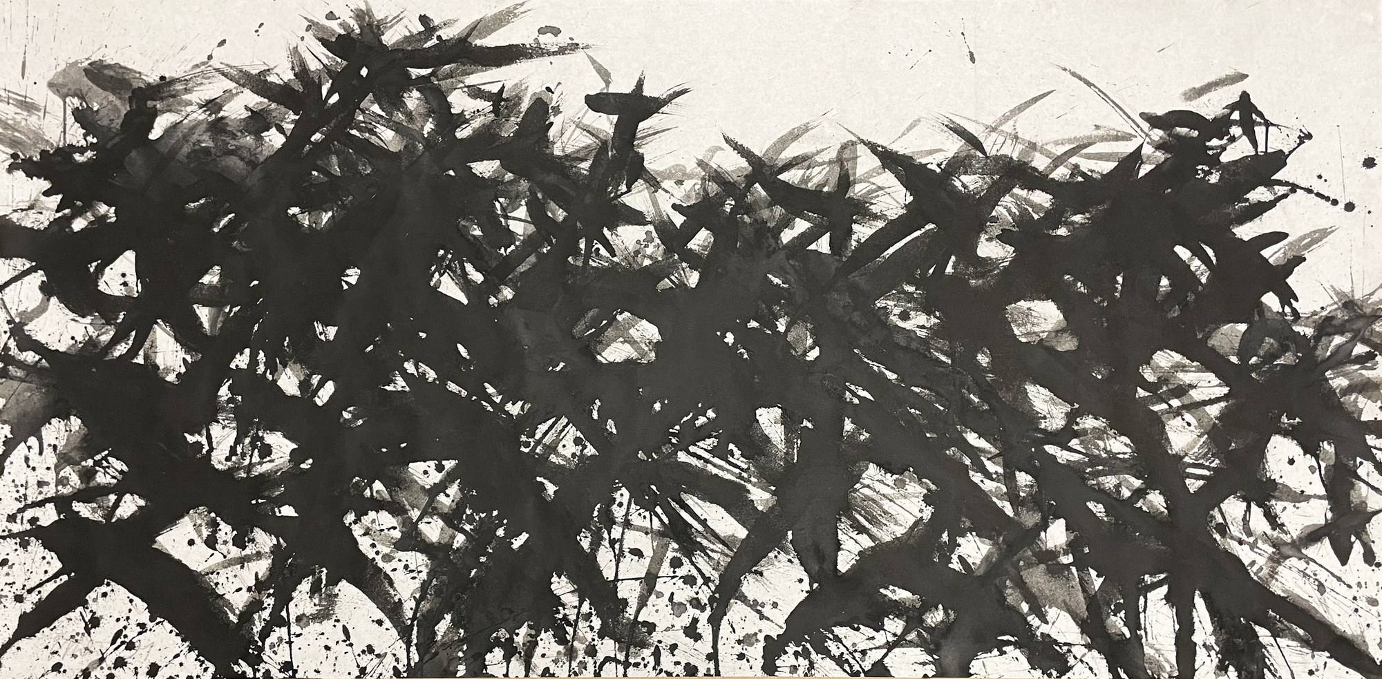 Baumkrone über Wald