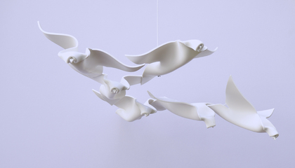 Eberhard Freudenreich: Sulle ali del vento, 2024